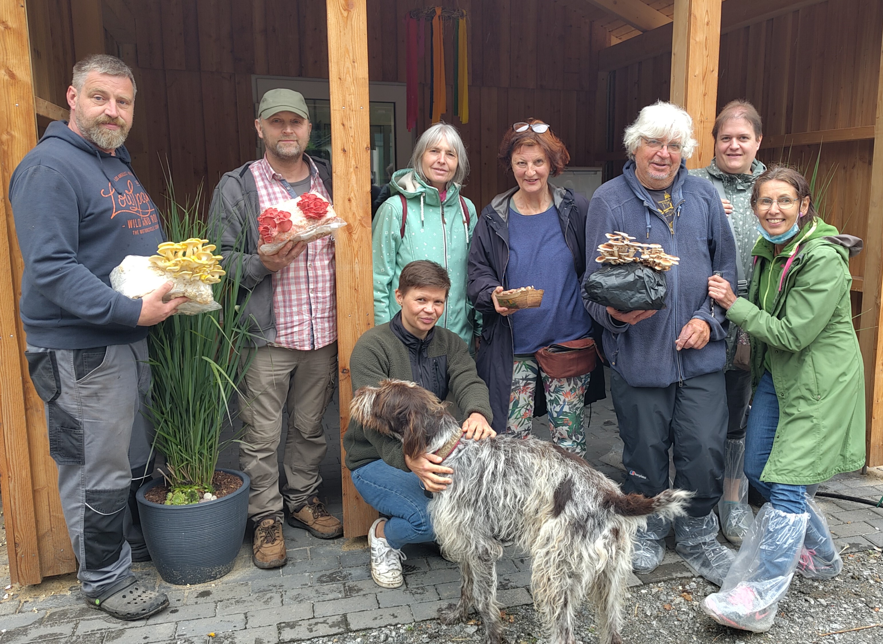 Gruppe von Menschen, zwei halten Pilzsubstrat mit Rosensaitling und Zitronensaitling hoch. unten mitte ein Hund
